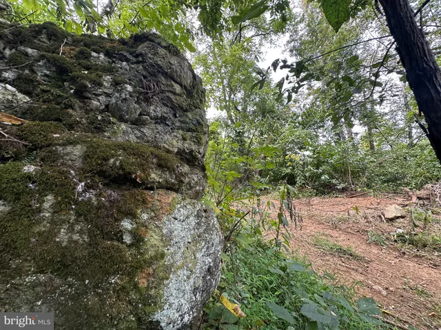 $499,000 | Blueridge Mountain, Upperville, VA 20184