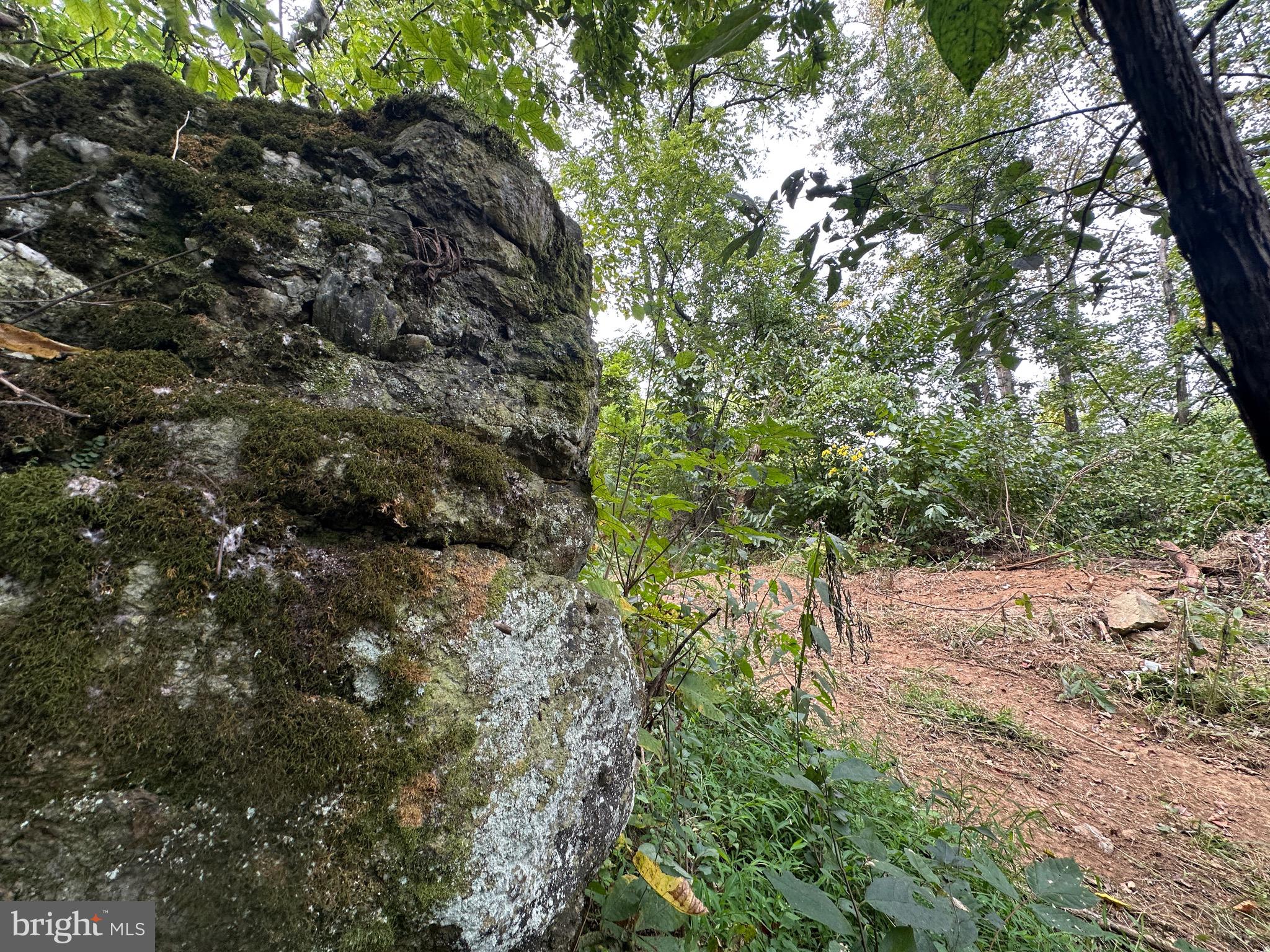 Blueridge Mountain Upperville, VA 20184 - Photo 7 of 32