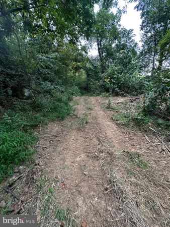 $499,000 | Blueridge Mountain, Upperville, VA 20184