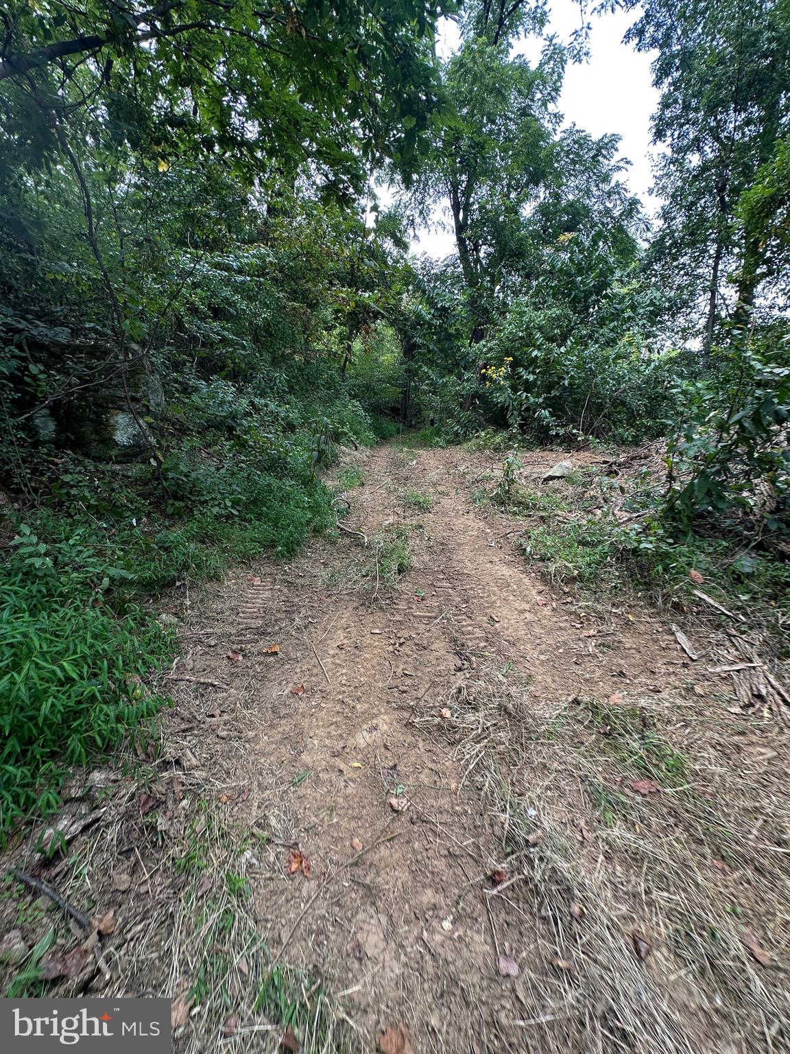 Blueridge Mountain Upperville, VA 20184 - Photo 8 of 32