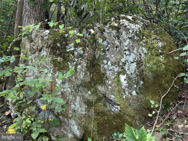 $499,000 | Blueridge Mountain, Upperville, VA 20184