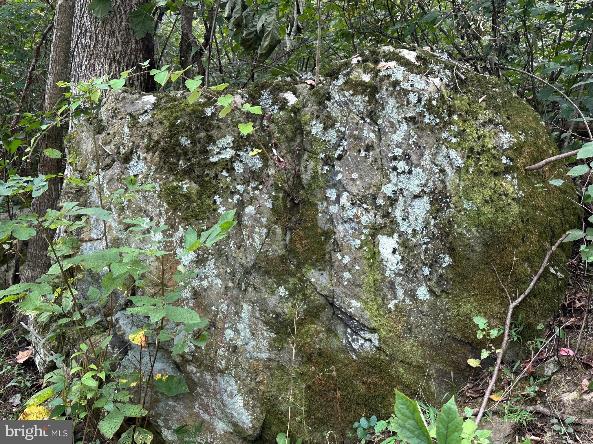 Blueridge Mountain Upperville, VA 20184 - Photo 9 of 32