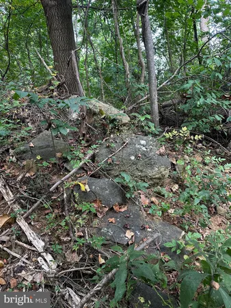 $499,000 | Blueridge Mountain, Upperville, VA 20184