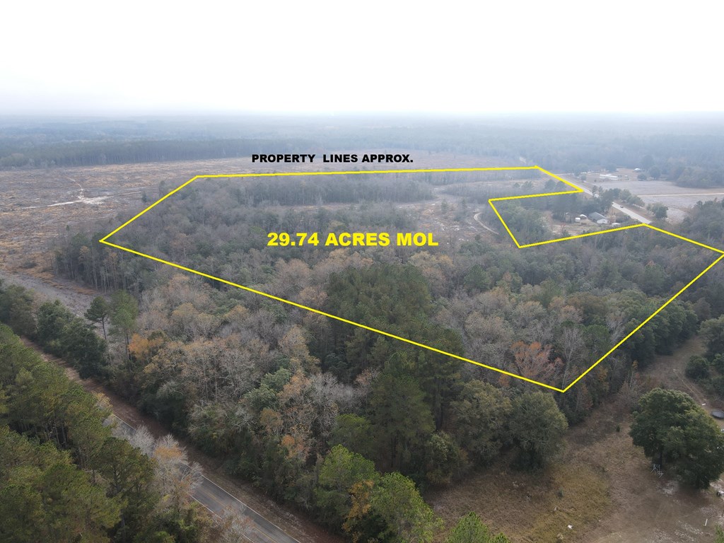87 Highway 87 Samson, AL 36477 - Photo 3 of 47