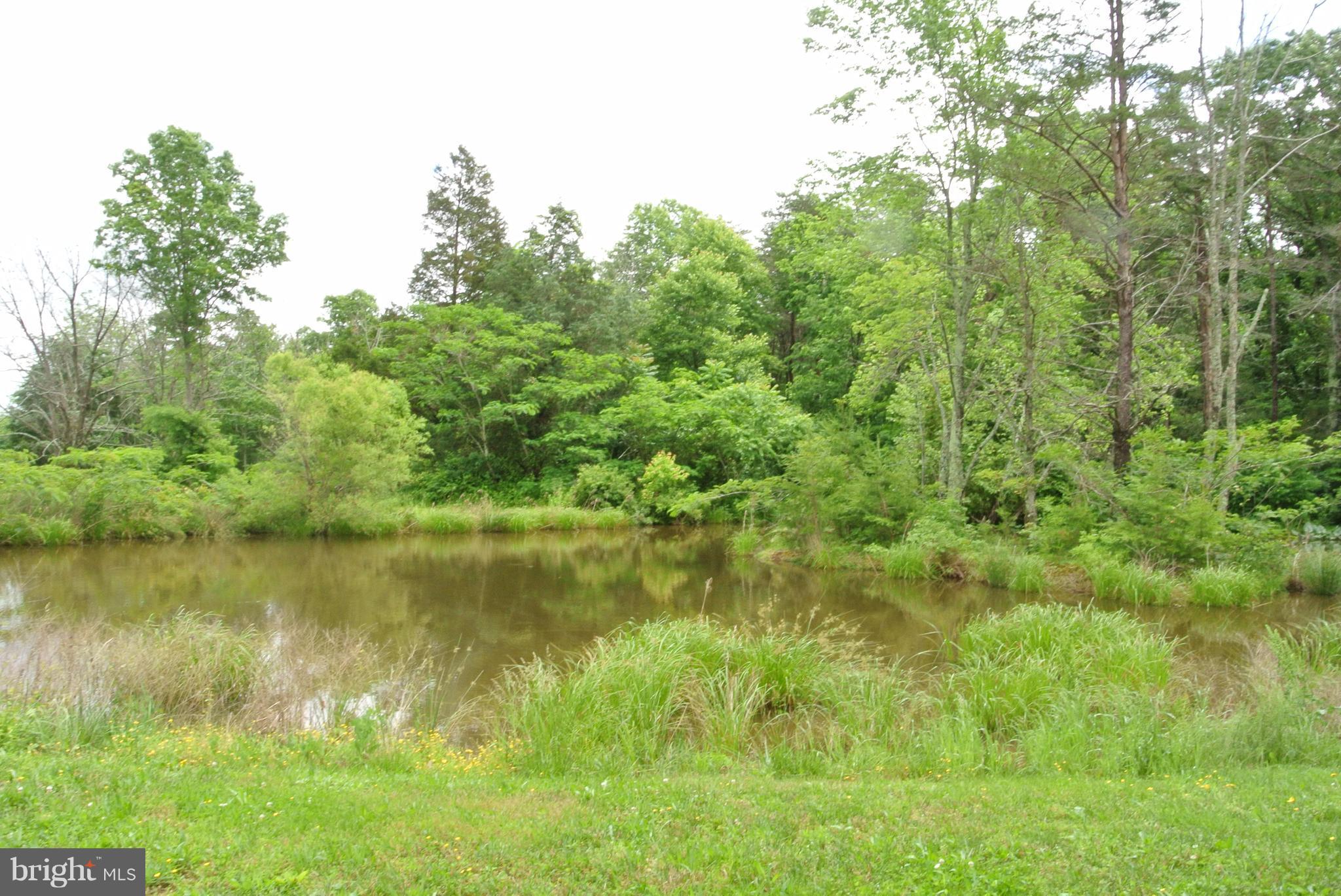 12047 Elk Run Road Catlett, VA 20119 - Photo 22 of 29 View