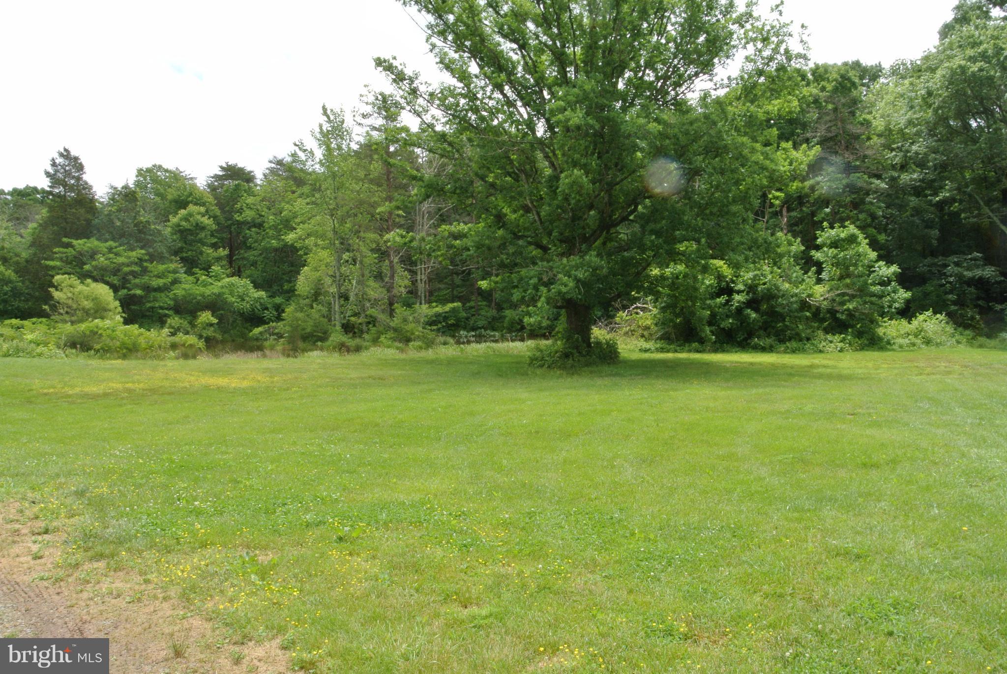 12047 Elk Run Road Catlett, VA 20119 - Photo 23 of 29 Near the Pond