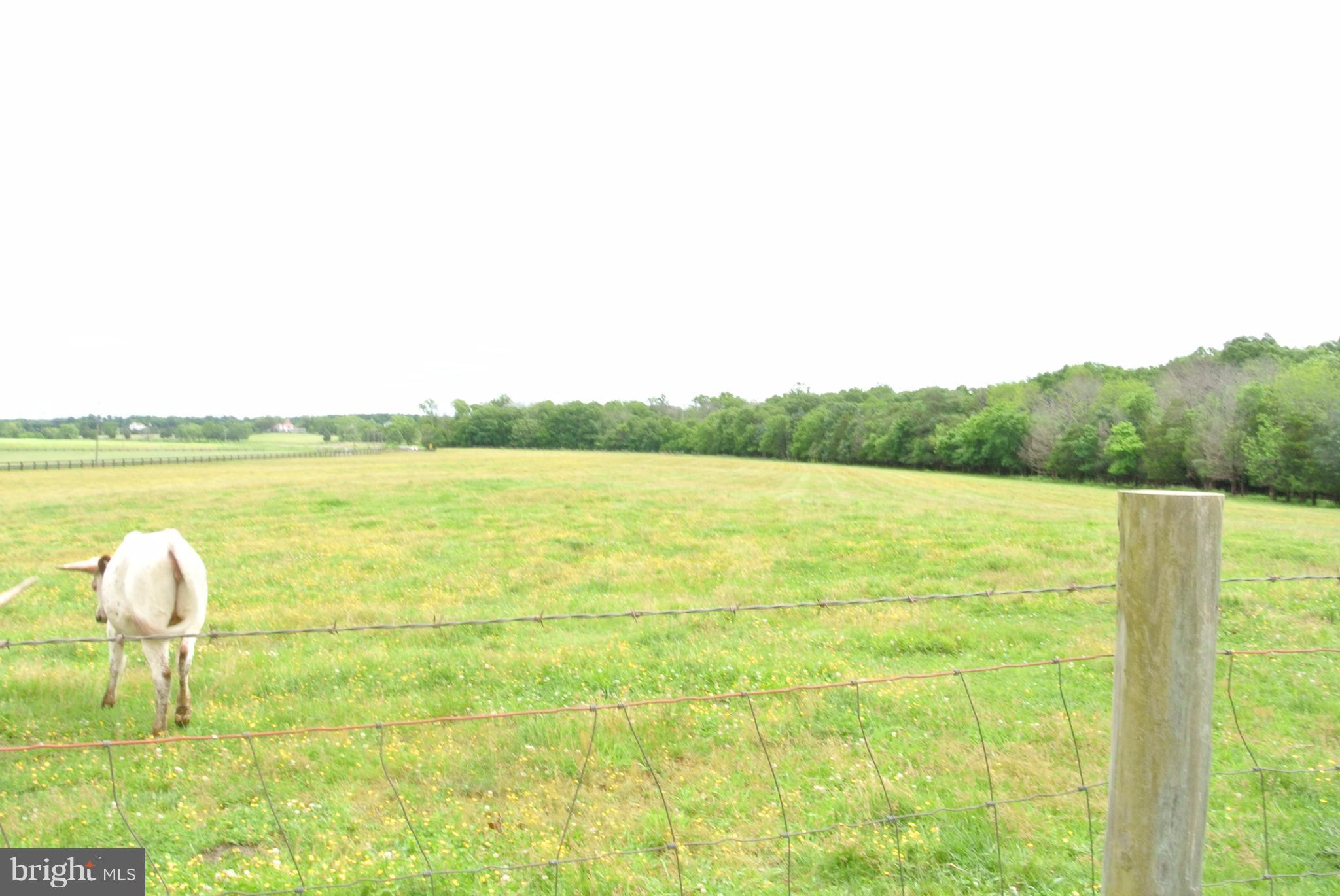 12047 Elk Run Road Catlett, VA 20119 - Photo 28 of 29 View