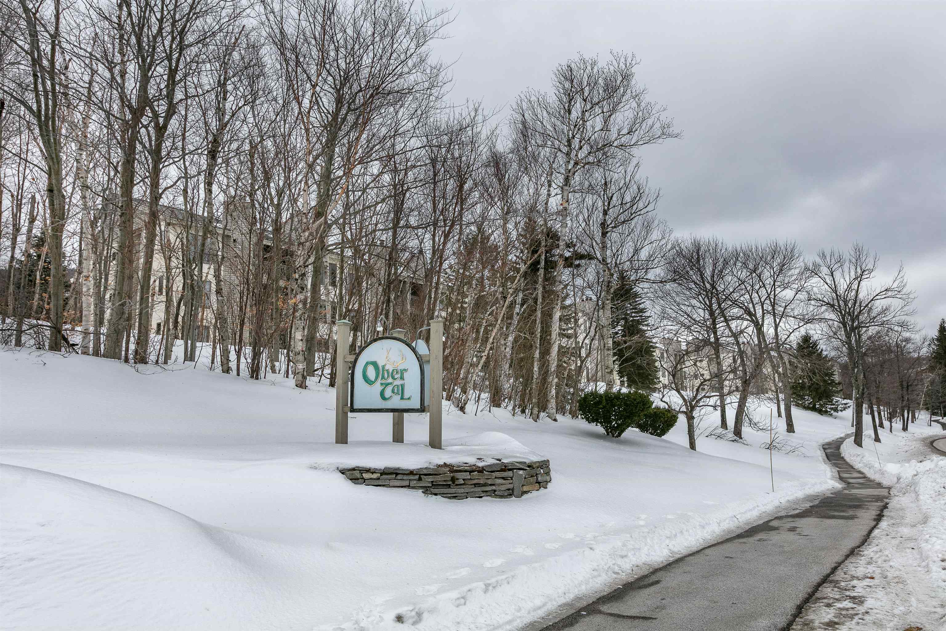 18 Ober Tal Drive, Unit F12 Stratton, VT 05340 - Photo 23 of 24