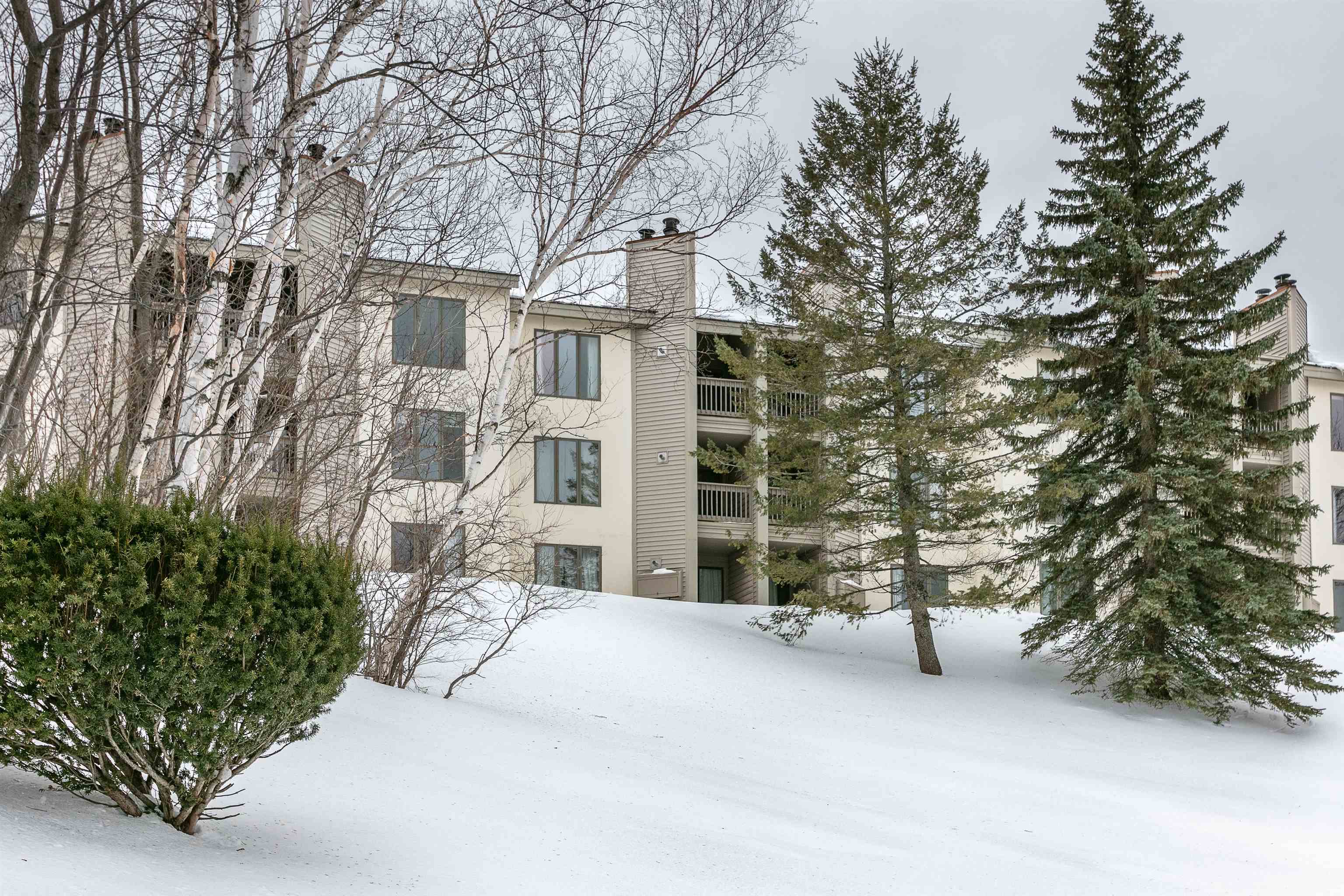 18 Ober Tal Drive, Unit F12 Stratton, VT 05340 - Photo 24 of 24