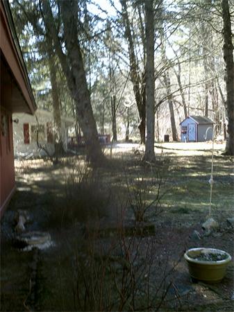 17 Donna Road Chelmsford, MA 01824 - Photo 12 of 12 a view of a backyard of the house