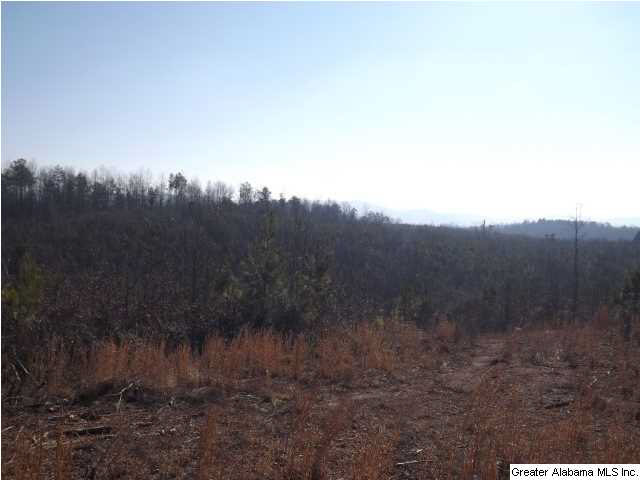 286 County Road, Unit 85 Collinsville, AL 35961 - Photo 13 of 23