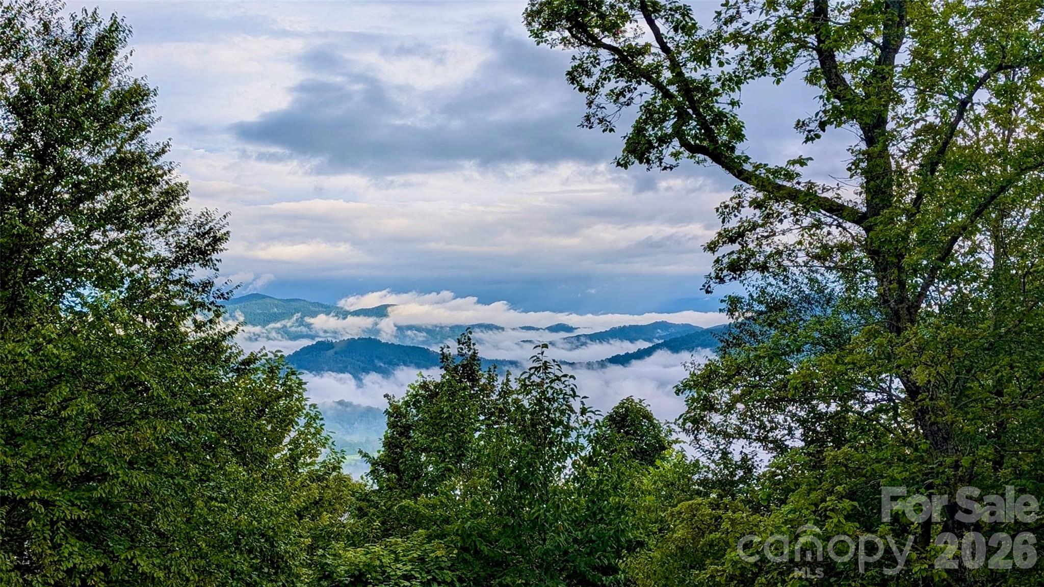1024 Arrowhead Ridge Road Spruce Pine, NC 28777 - Photo 10 of 48