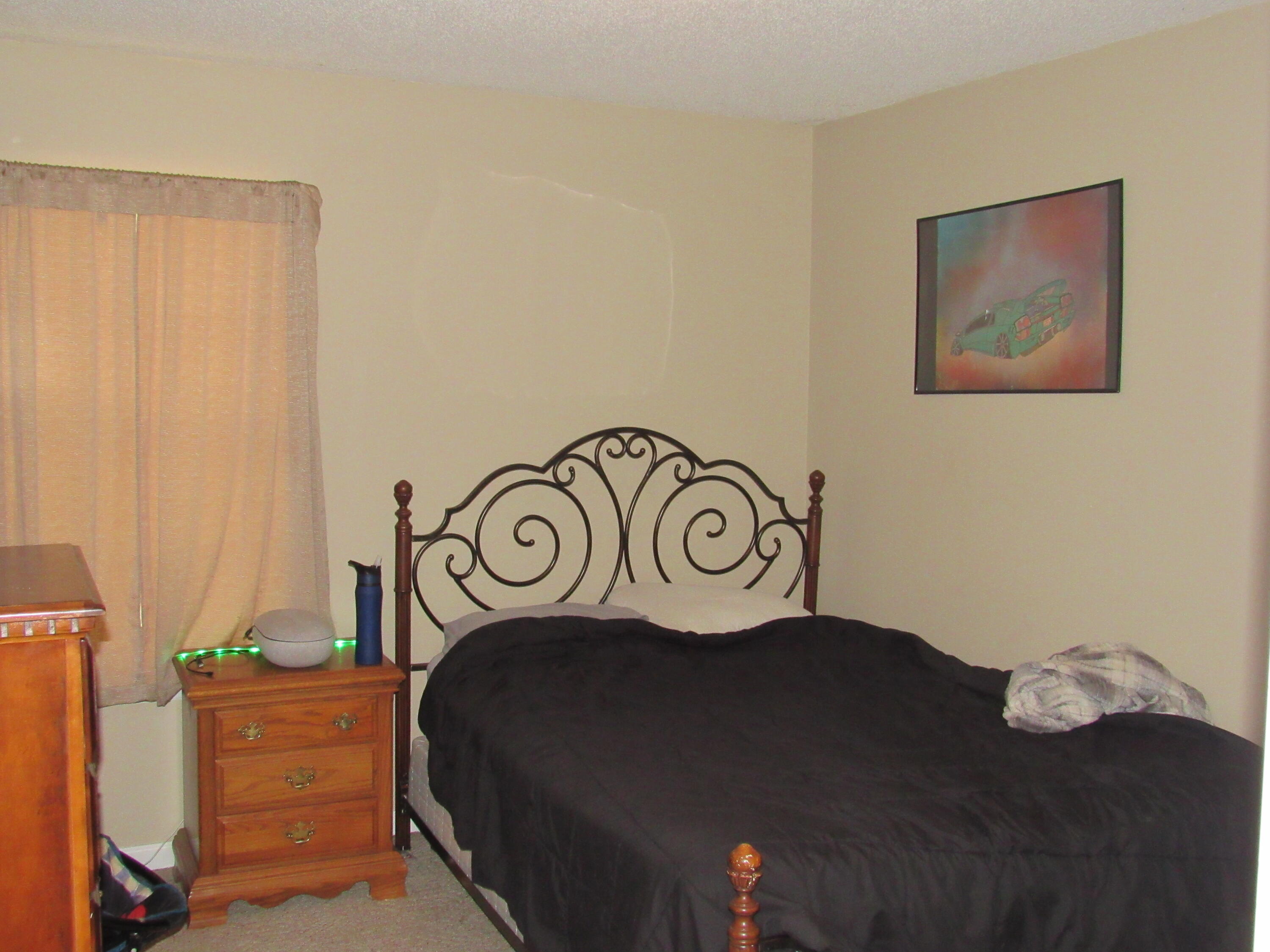 686 Howard Leonard Road Ringgold, GA 30736 - Photo 17 of 29 IMG_0229