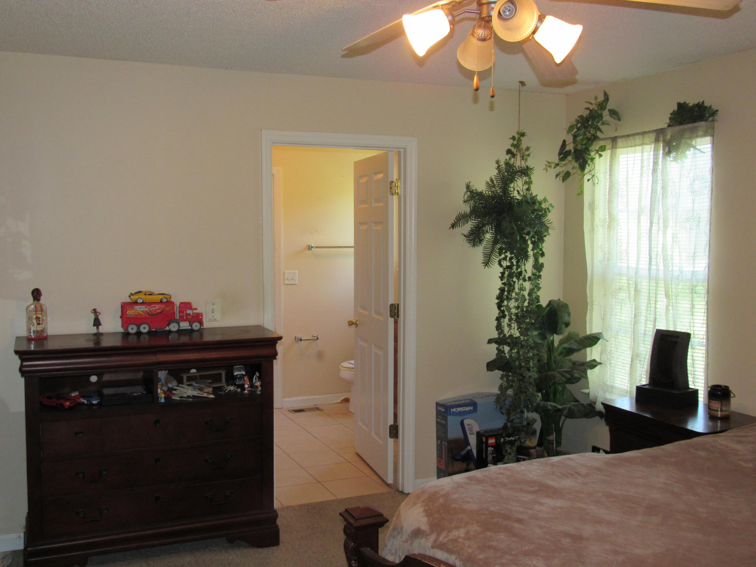 686 Howard Leonard Road Ringgold, GA 30736 - Photo 21 of 29 IMG_0235