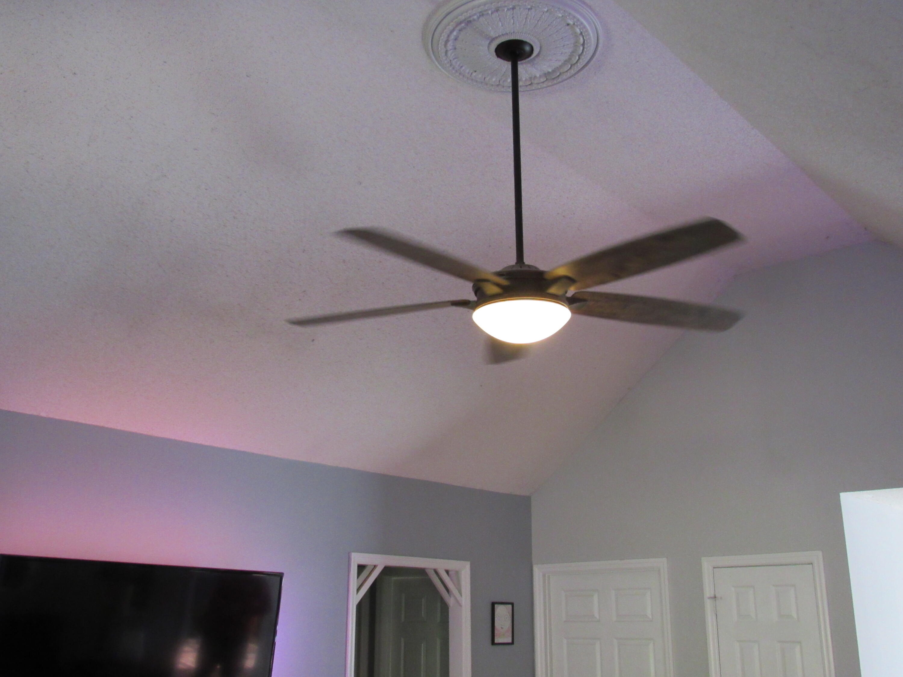 686 Howard Leonard Road Ringgold, GA 30736 - Photo 8 of 29 IMG_0223