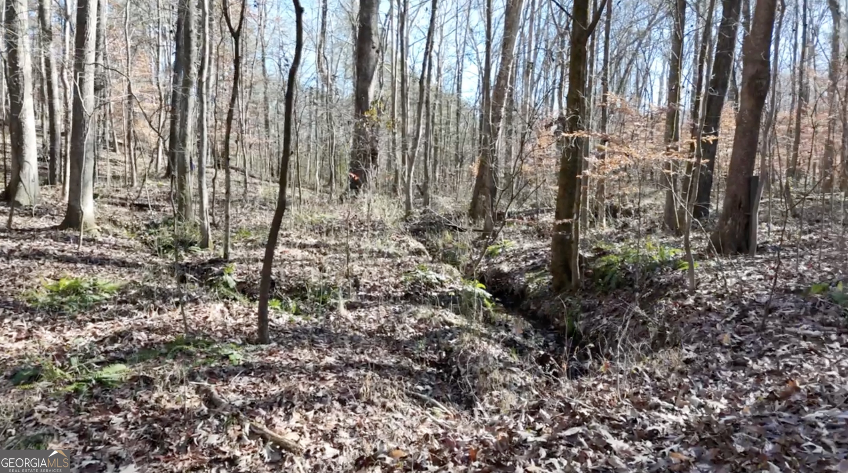 6155-lot #1) Little Ridge Road, Unit LOT #1 Acworth, GA 30102 - Photo 13 of 24