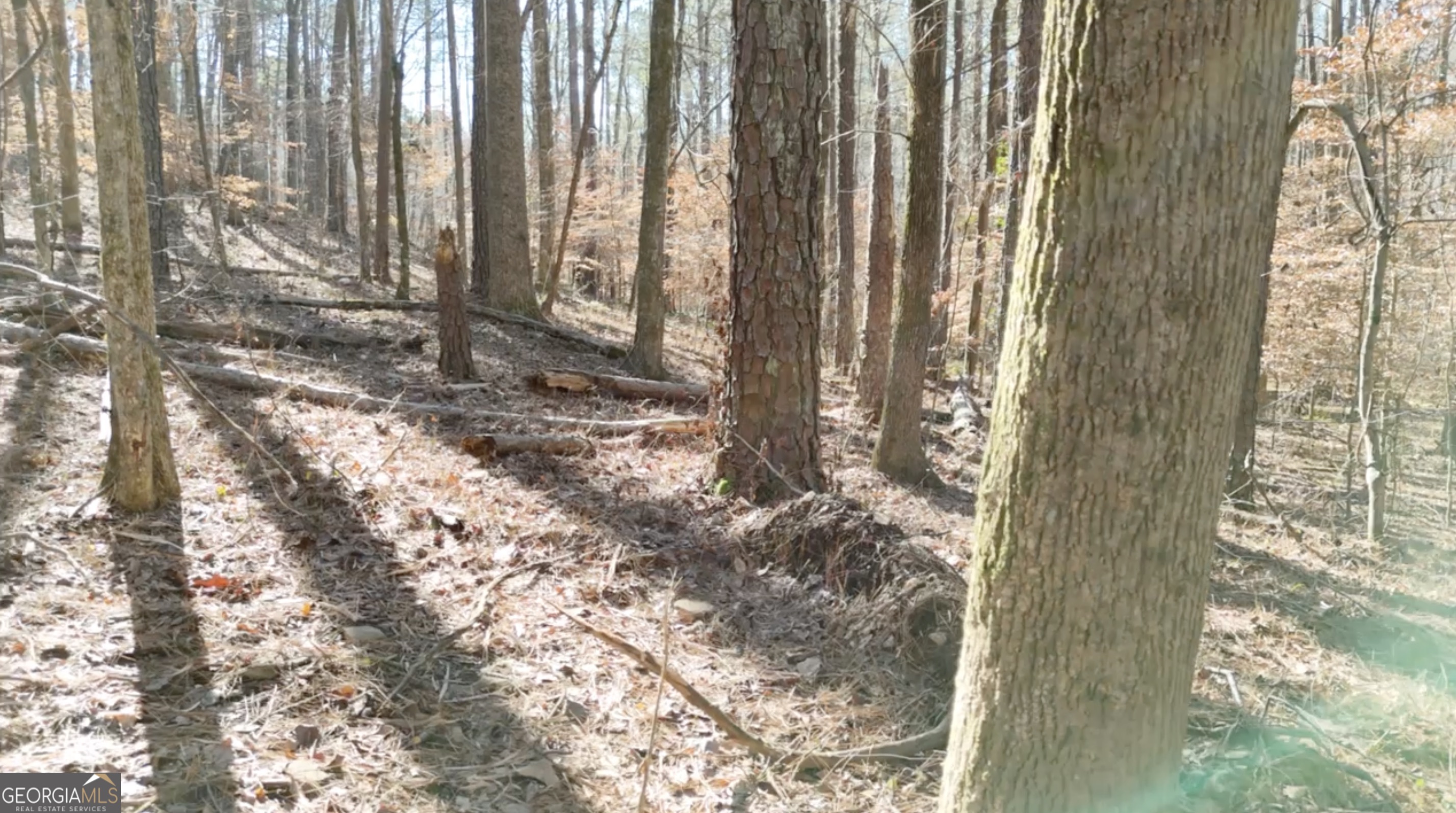 6155-lot #1) Little Ridge Road, Unit LOT #1 Acworth, GA 30102 - Photo 14 of 24