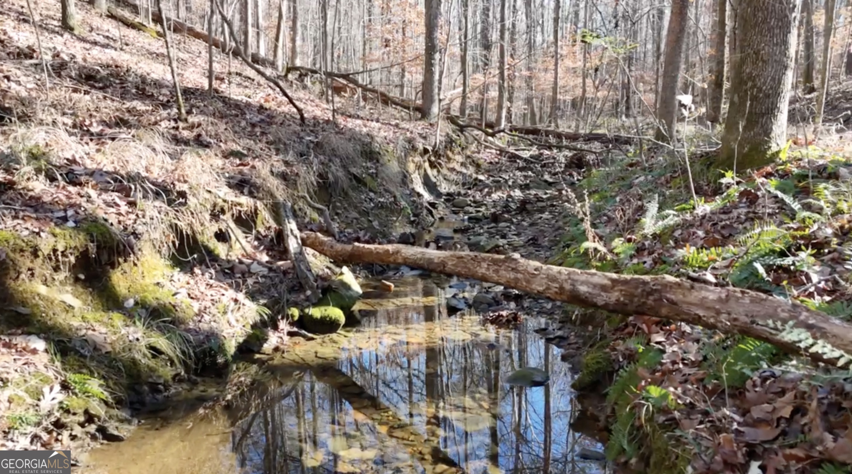 6155-lot #1) Little Ridge Road, Unit LOT #1 Acworth, GA 30102 - Photo 6 of 24