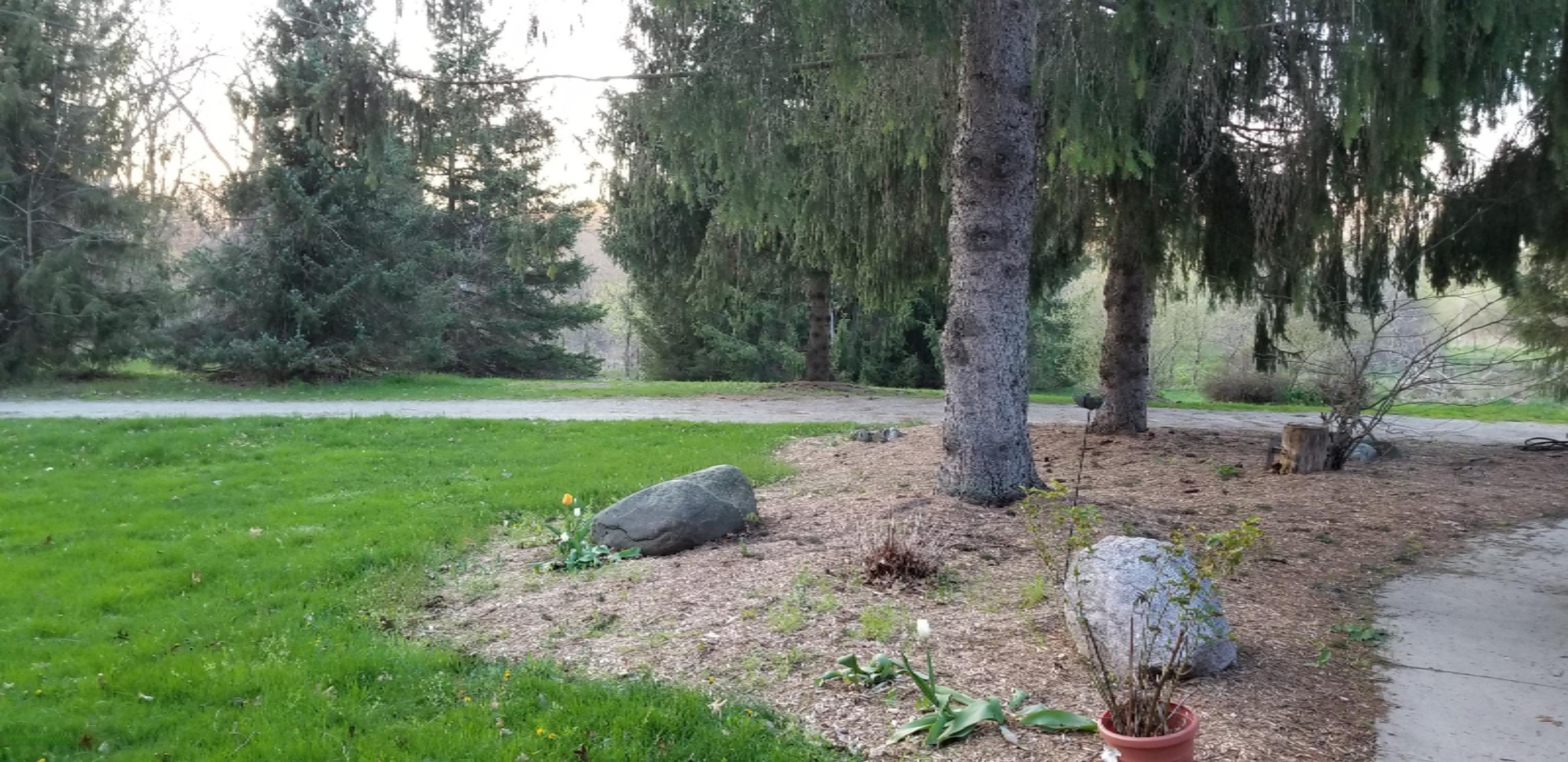 1869 Peavy Road Howell, MI 48843 - Photo 54 of 55 20200507_202924