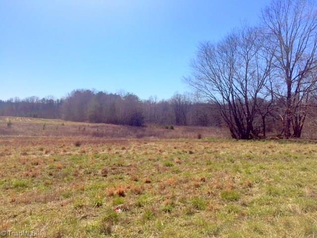 300 Chilton Road Ruffin, NC 27326 - Photo 11 of 15