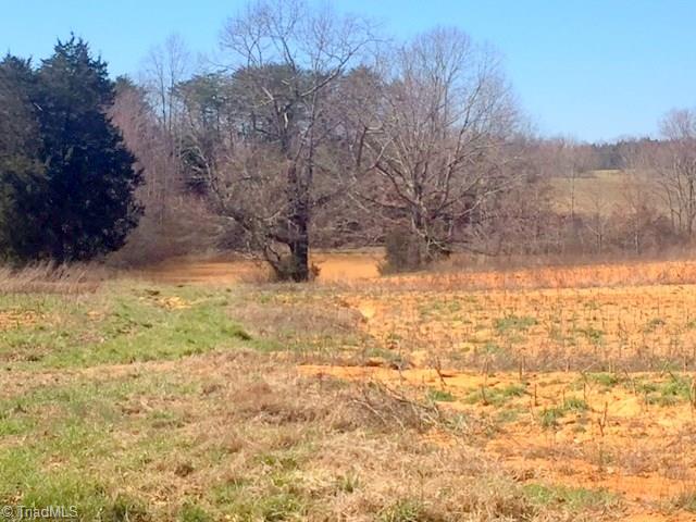 300 Chilton Road Ruffin, NC 27326 - Photo 12 of 15