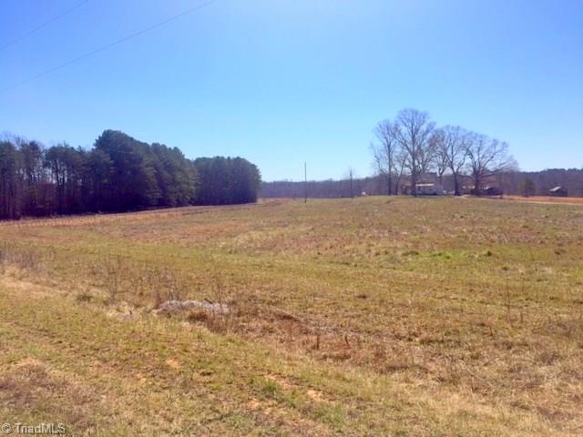 300 Chilton Road Ruffin, NC 27326 - Photo 13 of 15