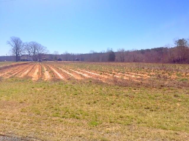 300 Chilton Road Ruffin, NC 27326 - Photo 14 of 15