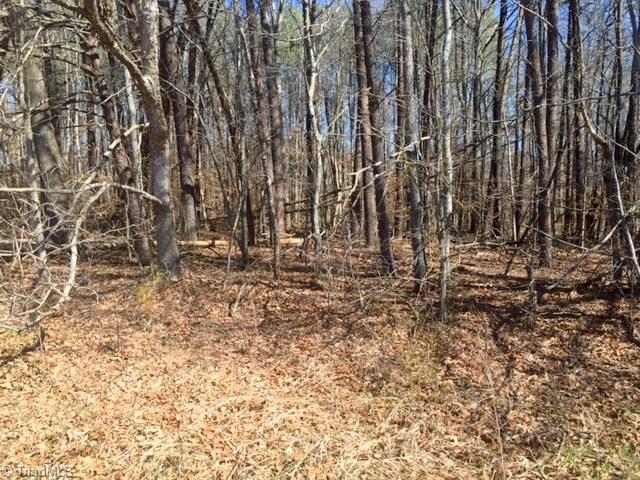 300 Chilton Road Ruffin, NC 27326 - Photo 5 of 15