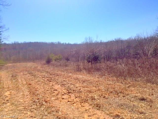300 Chilton Road Ruffin, NC 27326 - Photo 6 of 15
