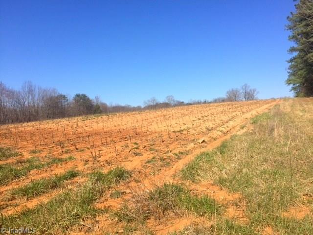 300 Chilton Road Ruffin, NC 27326 - Photo 7 of 15
