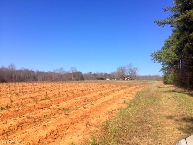 300 Chilton Road Ruffin, NC 27326 - Photo 8 of 15
