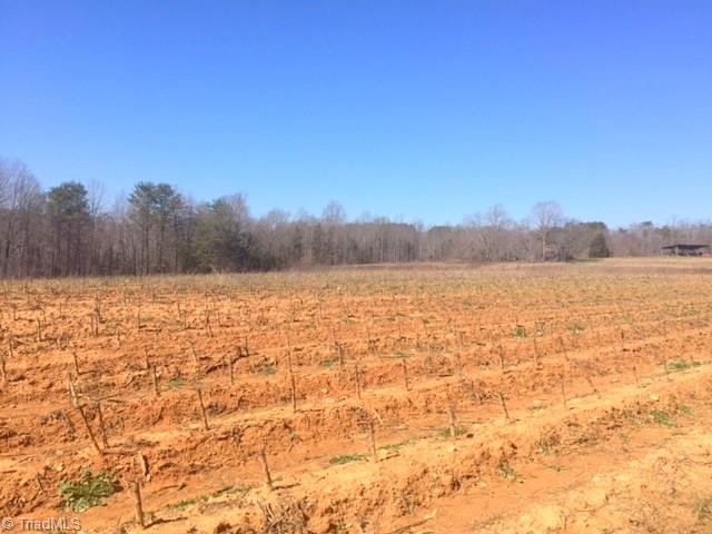 300 Chilton Road Ruffin, NC 27326 - Photo 9 of 15