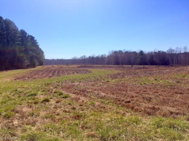 300 Chilton Road Ruffin, NC 27326 - Photo 10 of 15