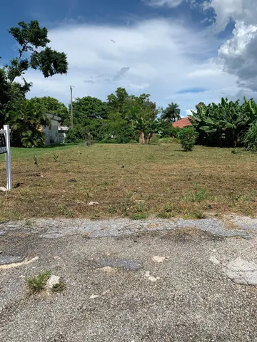 a view of a yard with plants