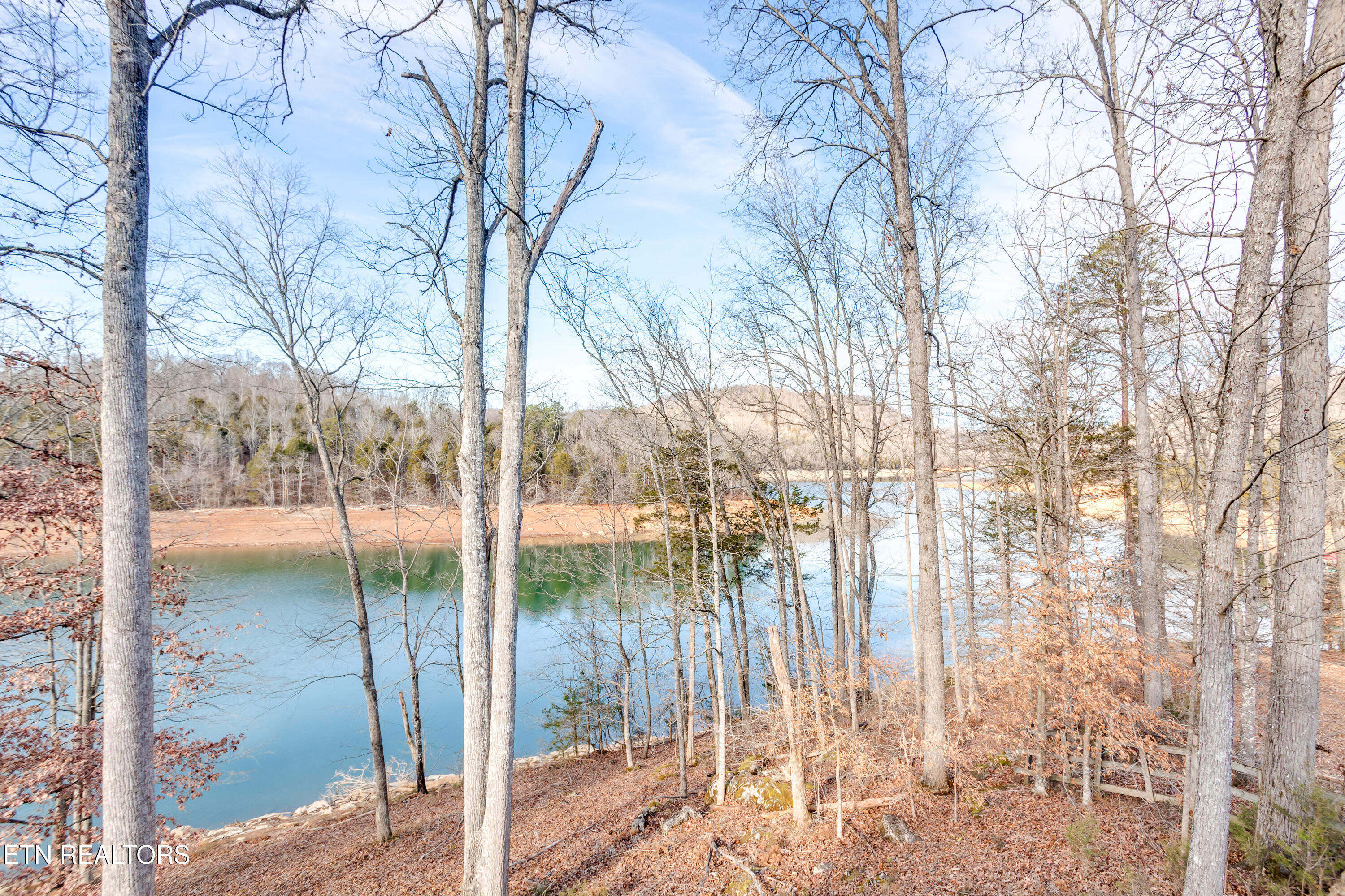 194 Helms Ferry Road Sharps Chapel, TN 37866 - Photo 40 of 60 050251222-1-194HelmsFerryRdSharpsChapelT