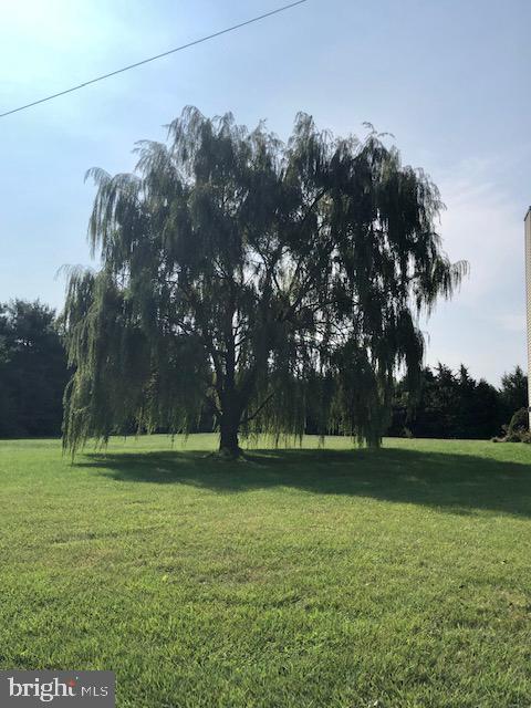 946 Thompson Road Fawn Grove, PA 17321 - Photo 12 of 42 TREES VIEW