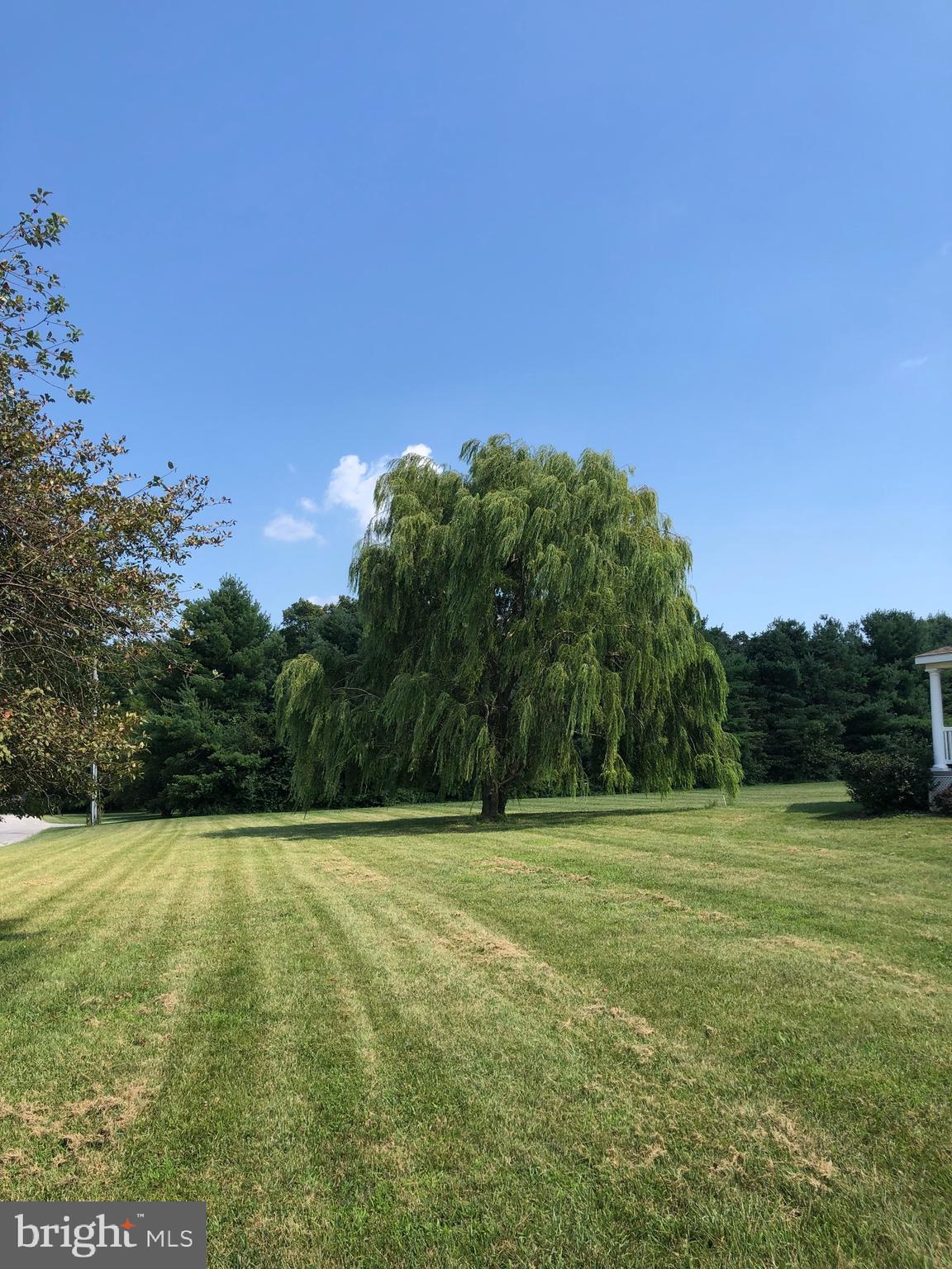 946 Thompson Road Fawn Grove, PA 17321 - Photo 3 of 42 YARD