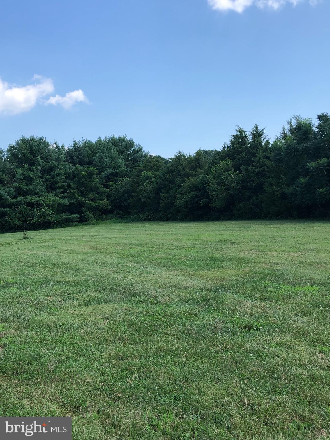 946 Thompson Road Fawn Grove, PA 17321 - Photo 8 of 42 EXTERIOR YARD