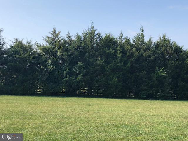 946 Thompson Road Fawn Grove, PA 17321 - Photo 9 of 42 BACK YARD LOTS OF TREES