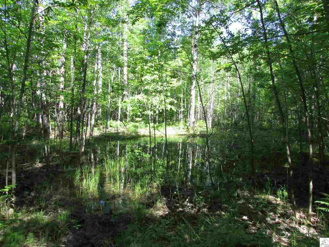 5429 Jean Duluth Road Duluth, MN 55803 - Photo 16 of 17