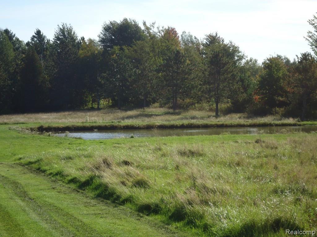 7185 Wildcat Road Croswell, MI 48422 - Photo 11 of 12 Pond.jpg