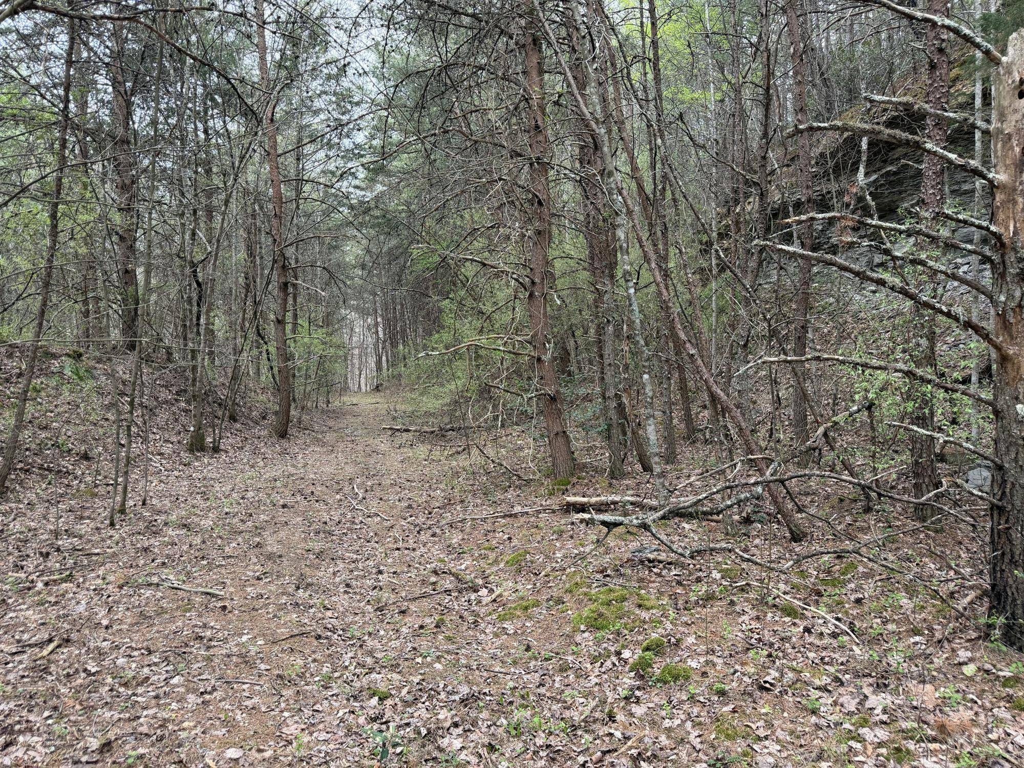 899 Morning Glory Road Oneida, TN 37841 - Photo 20 of 27