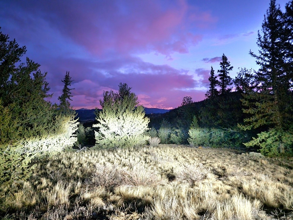 99 Hackney Lane Como, CO 80456 - Photo 11 of 49 a view of a house with a yard