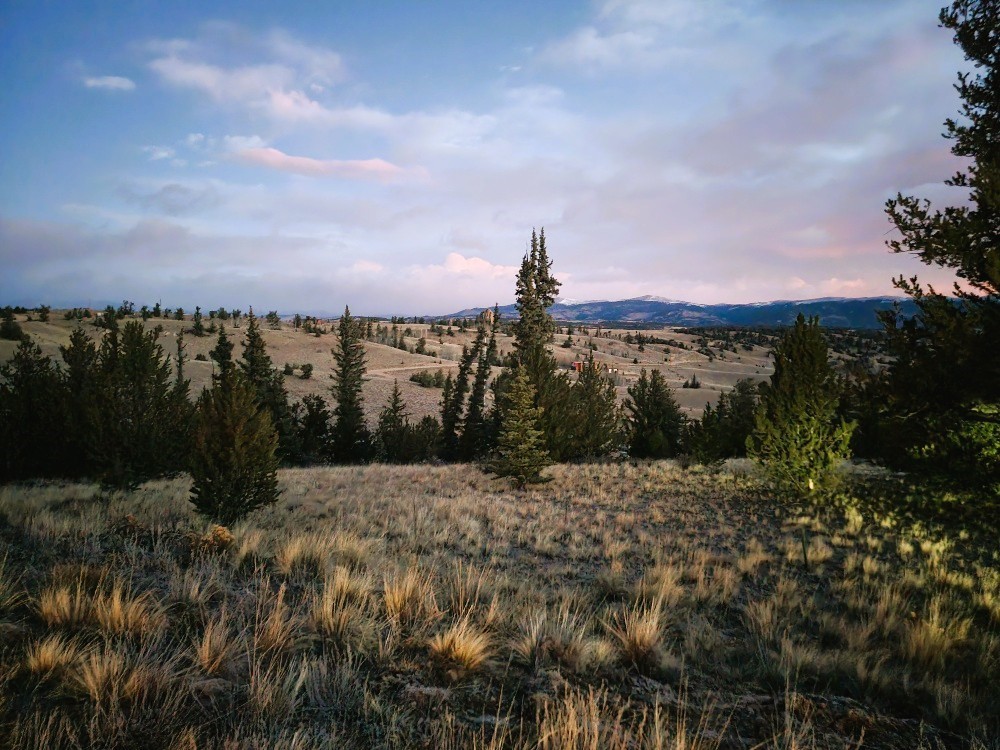 99 Hackney Lane Como, CO 80456 - Photo 14 of 49 a view of a yard