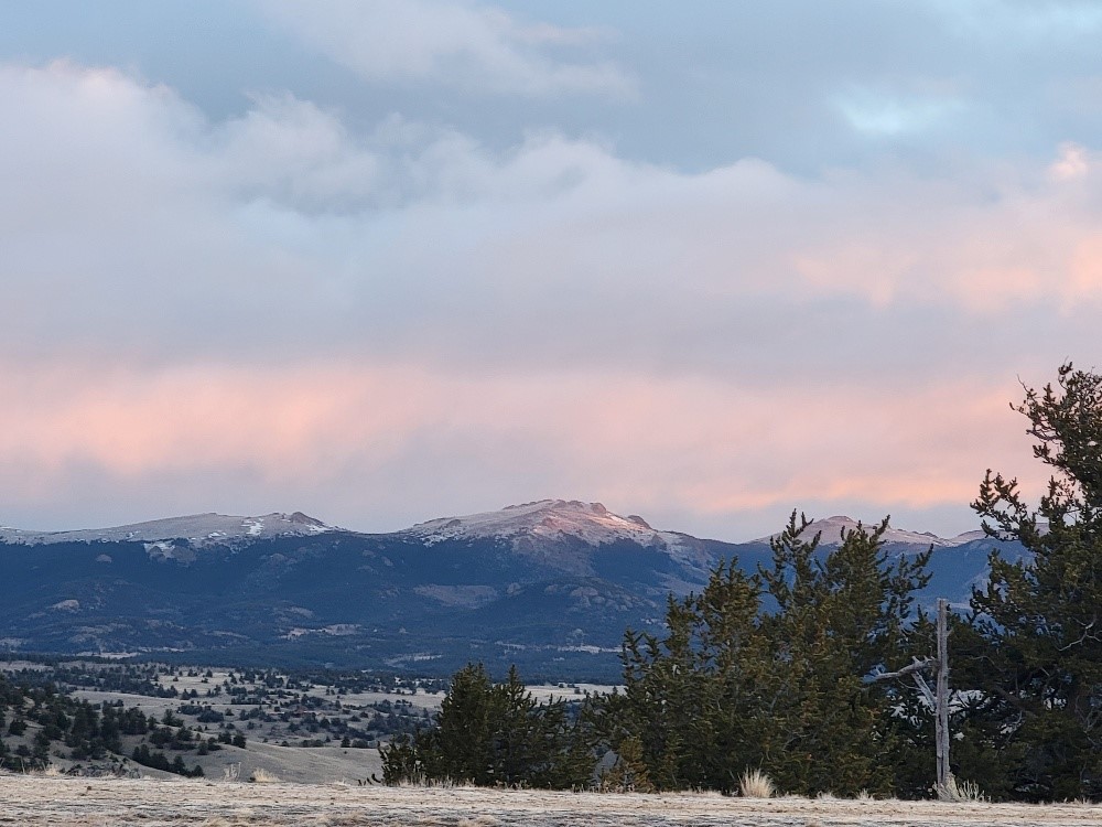 99 Hackney Lane Como, CO 80456 - Photo 2 of 49 an aerial view of houses covered in trees