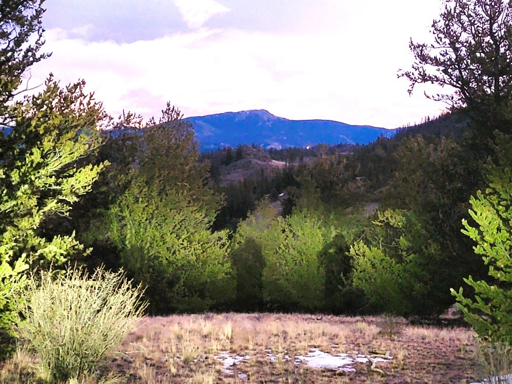 99 Hackney Lane Como, CO 80456 - Photo 21 of 49 a view of a yard