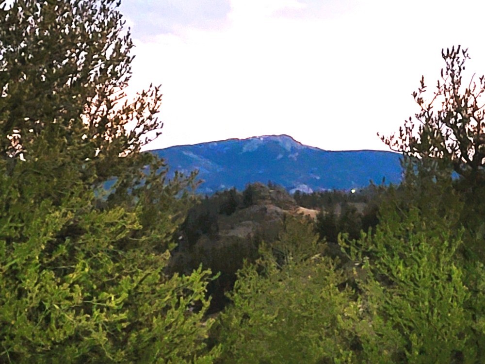 99 Hackney Lane Como, CO 80456 - Photo 26 of 49 a view of mountains in middle of forest