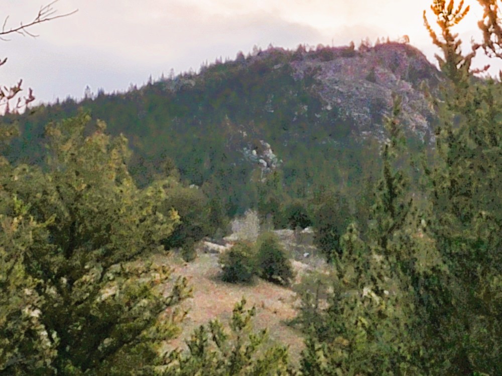 99 Hackney Lane Como, CO 80456 - Photo 35 of 49 a view of a city with lush green forest