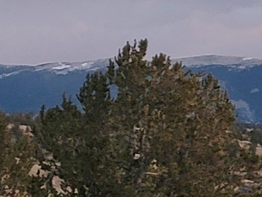 99 Hackney Lane Como, CO 80456 - Photo 37 of 49 a view of a city