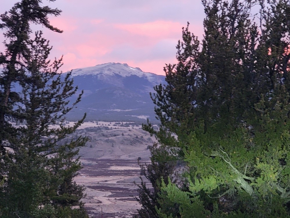 99 Hackney Lane Como, CO 80456 - Photo 43 of 49 a view of a yard